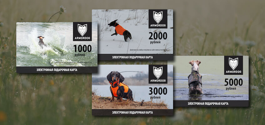 Электронная подарочная карта Armordog номиналами 1000, 2000, 3000 и 5000 рублей в стильном дизайне.